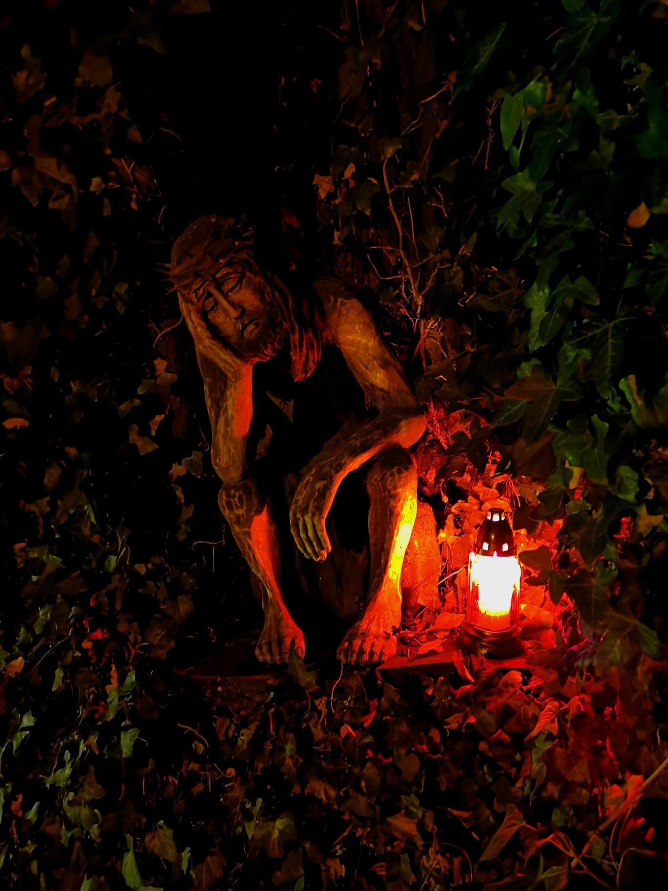 Tytuł